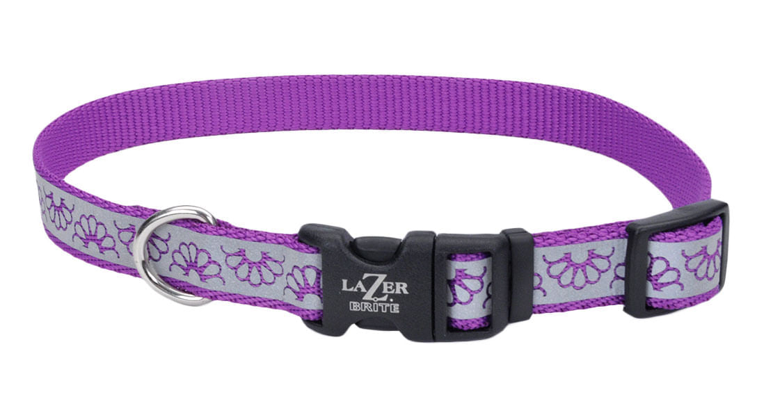 Lazer Brite 1" Dog Collar, 18"-26" - Purple Daisy  