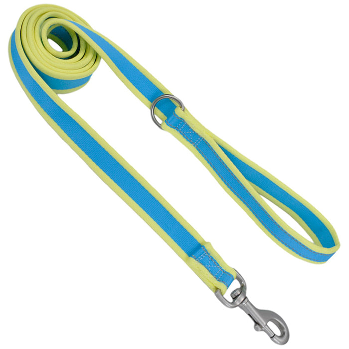 Coastal Pet Attire Pro Nylon Dog Leash, 6' x 3/4" - Aqua/Neon Yellow  