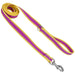 Coastal Pet Attire Pro Nylon Dog Leash, 6' x 3/4" - Purple/Yellow  