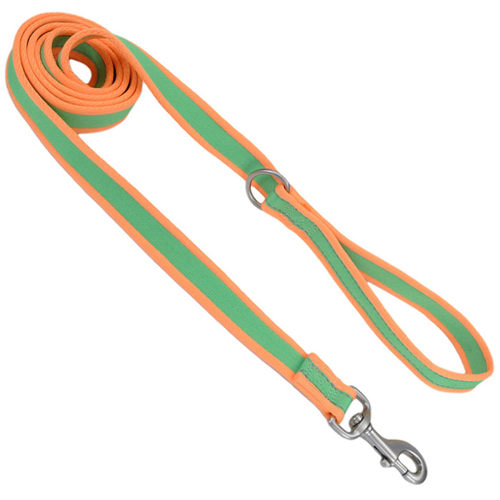 Coastal Pet Attire Pro Nylon Dog Leash, 6' x 3/4" - Lime/Orange  