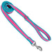 Coastal Pet Attire Pro Nylon Dog Leash, 6' x 3/4" - Fuchsia/Teal  