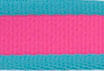 Coastal Pet Attire Pro Nylon Dog Leash, 6' x 3/4" - Fuchsia/Teal  