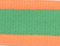 Coastal Pet Attire Pro Nylon Dog Leash, 6' x 3/4" - Lime/Orange  