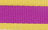 Coastal Pet Attire Pro Nylon Dog Leash, 6' x 3/4" - Purple/Yellow  