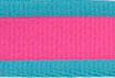 Coastal Pet Attire Pro Nylon Dog Leash, 6' x 1" - Fuchsia/Teal  