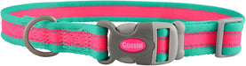 Coastal Pet Attire Pro Dog Collar, 18"-26" x 1" - Fuchsia/Teal  