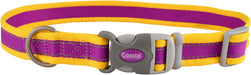 Coastal Pet Attire Pro Dog Collar, 18"-26" x 1" - Purple/Yellow  