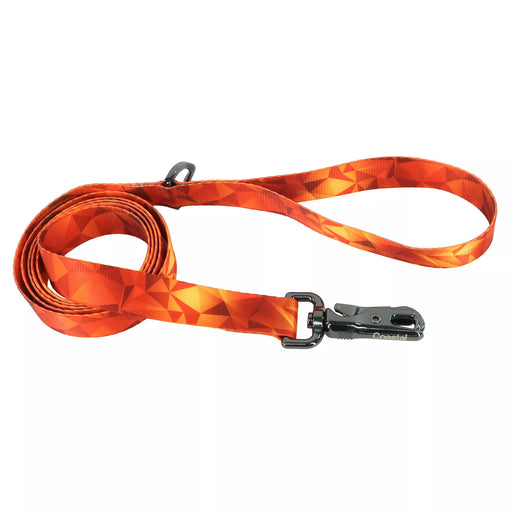 Inspire Fashion Dog Leash - Blazing Shards Medium/Large - 1" x 6' 