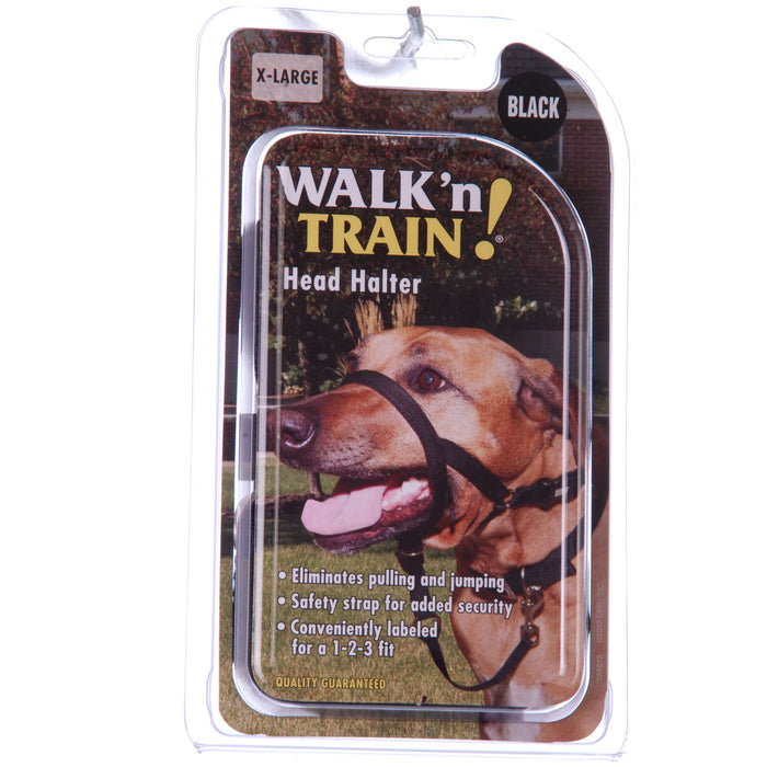 Walk 'n Train Head Halter - Size 4, Walk 'n Train Head Collar  