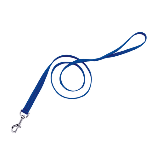 Coastal Single-Ply Dog Leash - Blue  