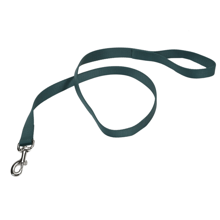 Coastal Single-Ply Dog Leash - Hunter  