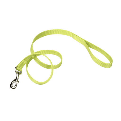 Coastal Single-Ply Dog Leash - Lime  