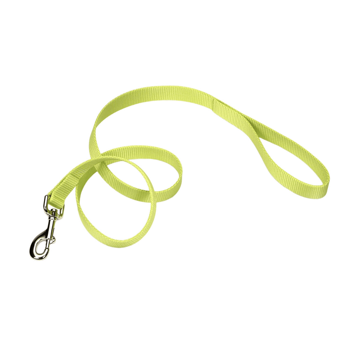 Coastal Single-Ply Dog Leash - Lime  