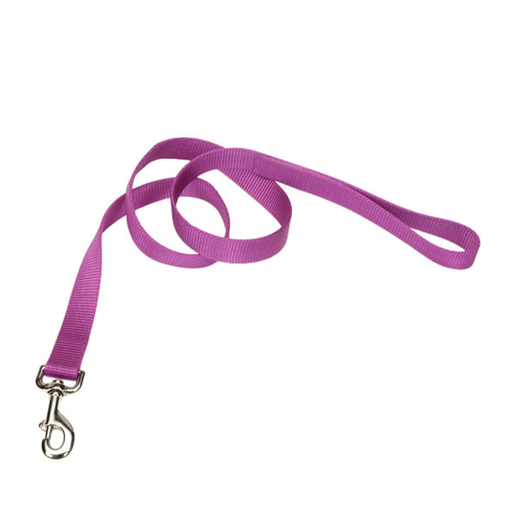 Coastal Single-Ply Dog Leash - Orchid  