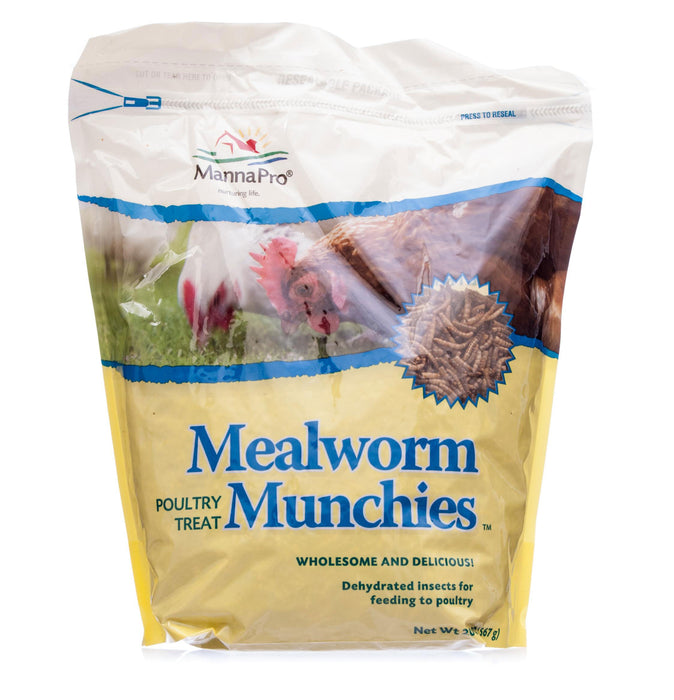 Mealworm Munchies - Mealworm Munchies, 20 oz  