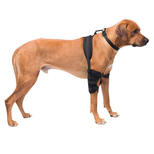 Caldera Pet Therapy Elbow Wrap with Therapy Gel, Large - 014CAL-16005 - Black - 1