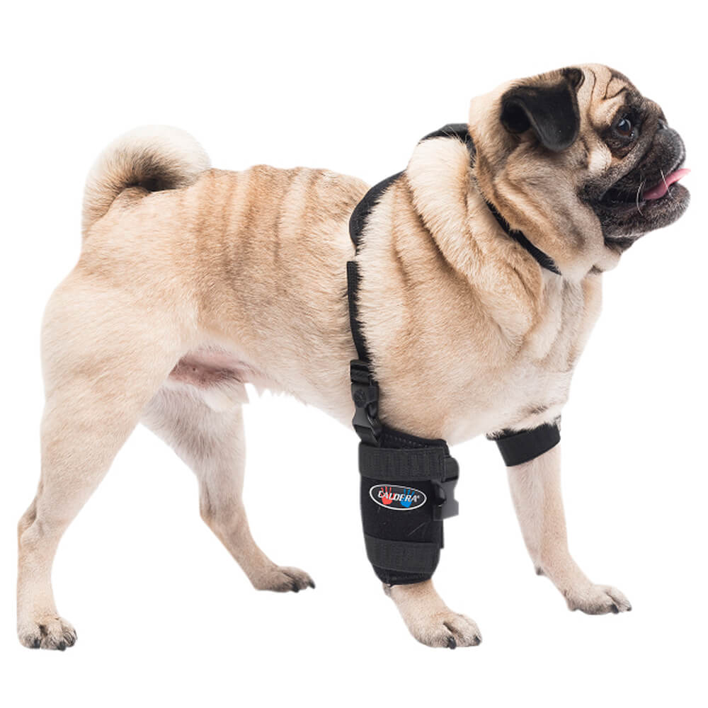 Caldera Pet Universal Therapy Carpal Elbow Wrap With Therapy Gel For caldera-pet-universal-therapy-carpal-elbow-wrap-with-therapy-gel-for
