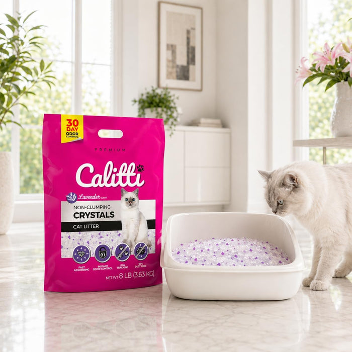 Calitti Non-Clumping Cat Litter Crystals with Silica Gel, 8 lb - SD21A - Lavender (Purple Granules) - 8 lbs - Single Pack - 7