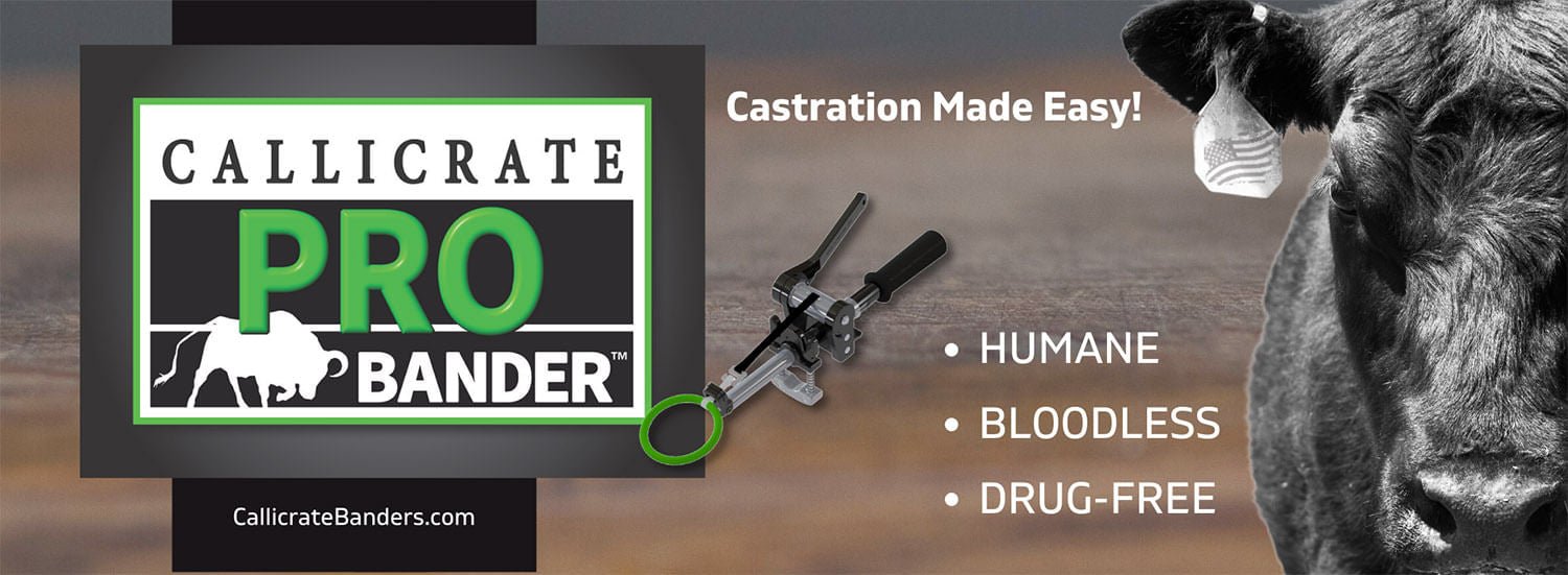 Callicrate Pro Bander with Built-in Band Cutter for Livestock — Jeffers