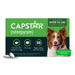 Capstar Oral Flea Treatment for Dogs - WVCB - 25 - 125 lbs - 6 tablets - 5