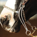 Carol Goostree CG Hackamore - Jeffers - Horse Supplies > Horse Tack