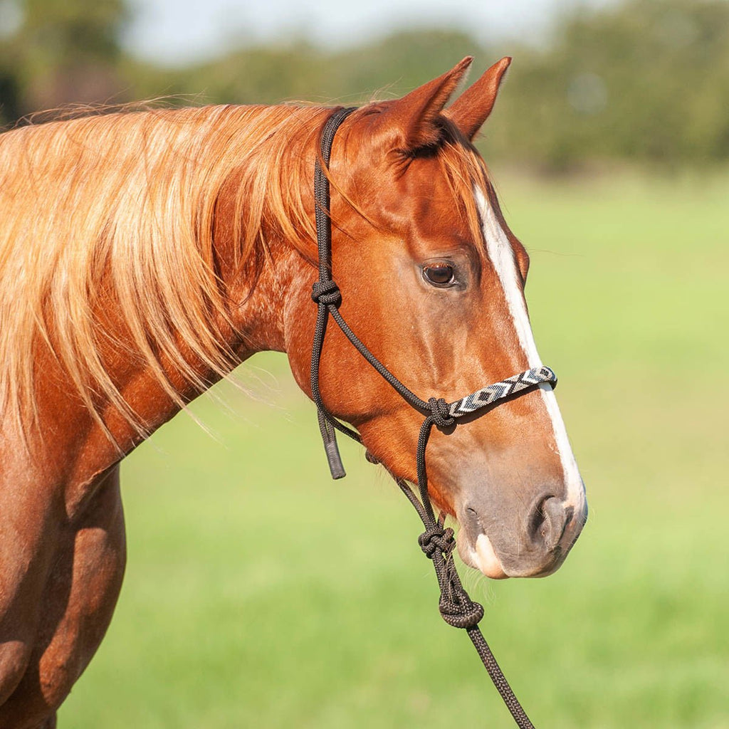 Quality Rope Halters for Horses — Jeffers