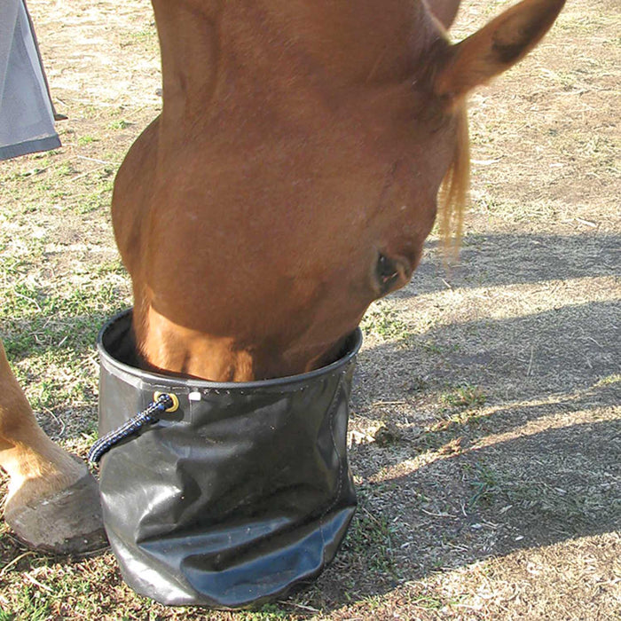 Cashel Collapsible Water Pail - QL1NF - Black - 12.5"D - 3