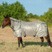 Cashel Economy Fly Sheet with Neck Guard - Jeffers - Animal Health & Wellness > Fly & Insect Control