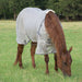 Cashel Economy Standard Neck Fly Sheet for Horses – Lightweight, UV & Insect Protection - QLB8 - Grey - 74" - 76" - 3