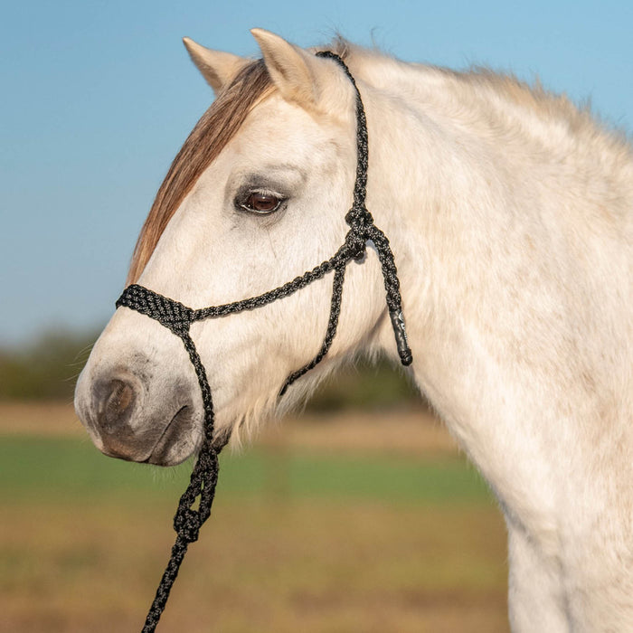 Cashel Flat Braid Pony Halter - QL1MK - Black - 2