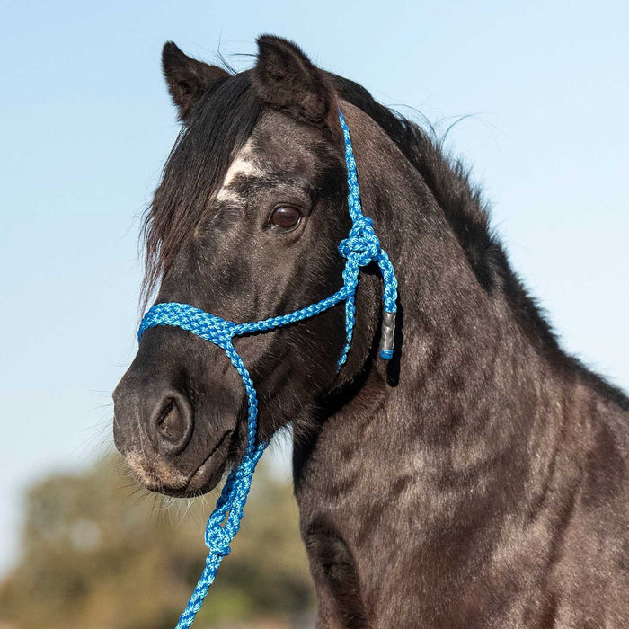 Cashel Flat Braid Pony Halter - QL1ML - Blue - 4
