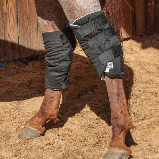 Cashel Hock Sock - Jeffers - Horse Supplies > Horse Boots & Leg Wraps