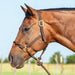 Cashel Nylon and Rope Halter - QL1ME - Brown - 1 - 3