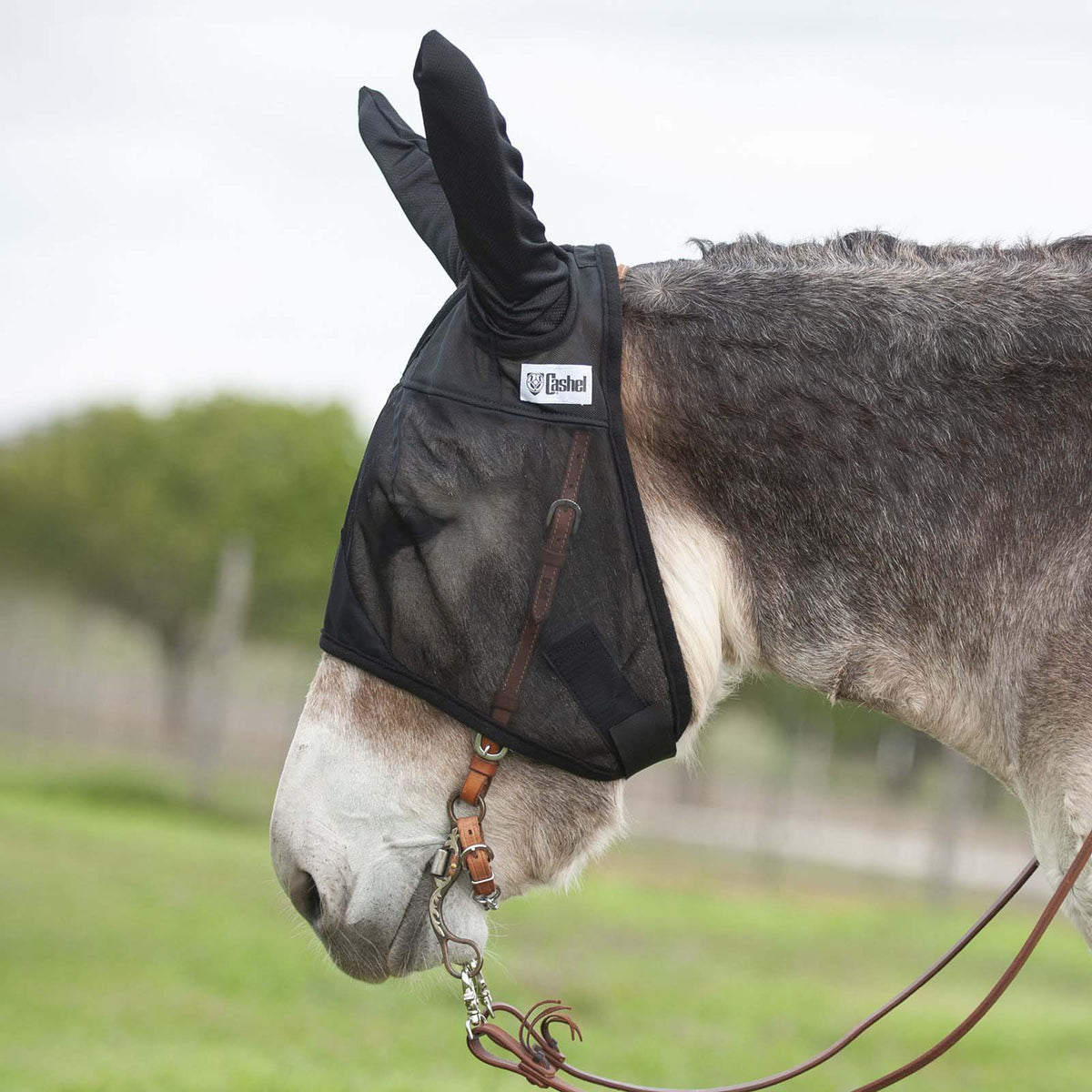 Masque Anti-mouches Cashel Crusader Pour Grand Poney Ou âne – Gris, Modèle Nez Long Avec Oreilles De Mulet
