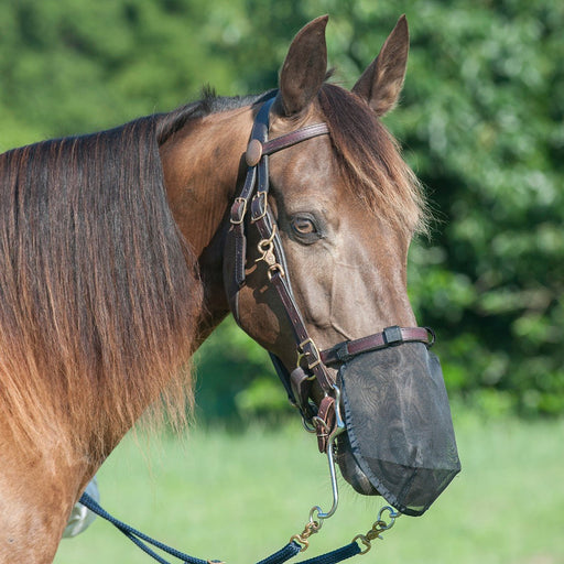 Cashel Quiet Ride Nose Net, Fly Dust & Insect Protection - QLAX - Small - Black - 1 - 1