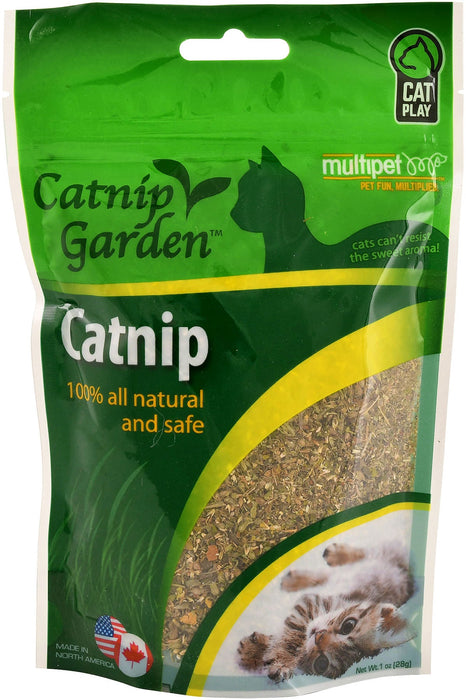 Catnip Garden Catnip - Jeffers - Cat Supplies > Cat Treats