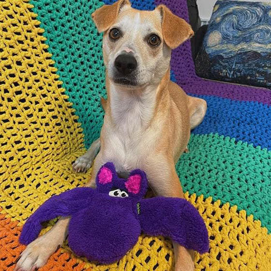 Duraplush - Bat Purple-Medium Size Medium