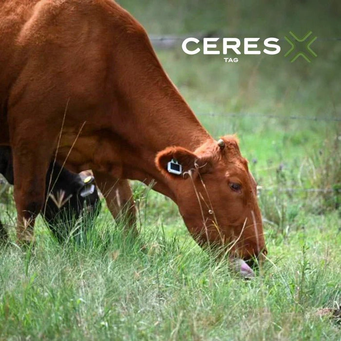 CERES RANCH PFI Reusable Satellite Cattle ID Tags 10 Pack - CT2-16 - 10 Pack - 4