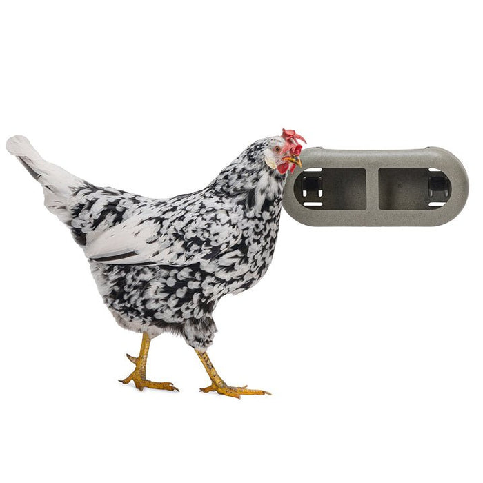 Chicken Feeder with Velcro Attachments – 100% Recycled, Eco - Friendly - GAUET - 1