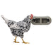 Chicken Feeder with Velcro Attachments – 100% Recycled, Eco - Friendly - GAUET - 1