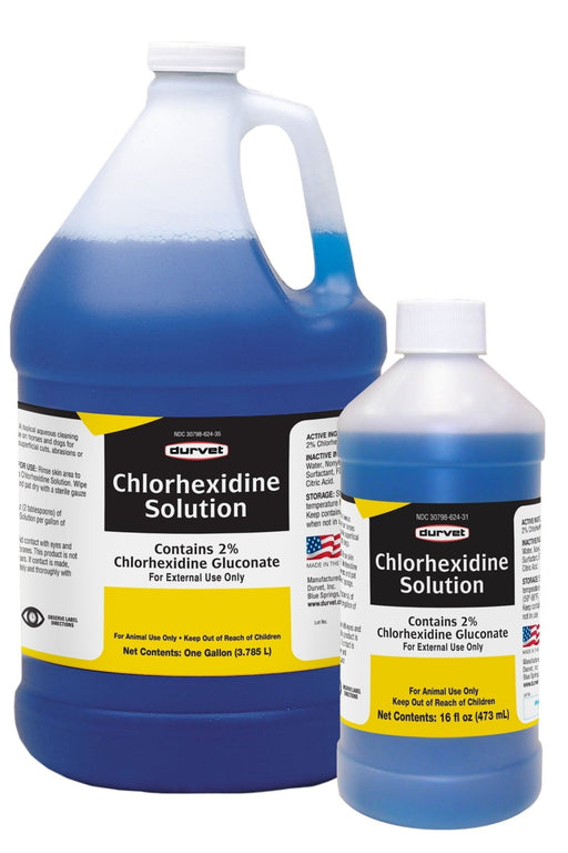 Chlorhexidine Solution 2%, Gallon - Jeffers - Animal Health & Wellness > Medical Supplies