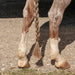 Classic Equine Jersey Tail Bands - CR1VW - Brown - 100 Pack - 4