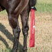 Classic Equine Slick Tail Bag for Horses - CR1VZ - Crimson - 1 - 6