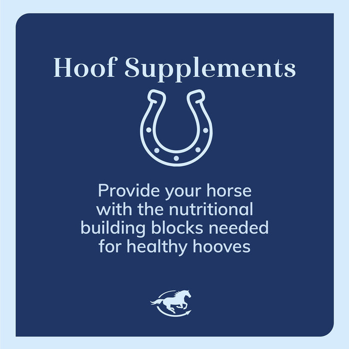 CocoHoof, Hoof Formula with Omega Fatty Acids for Horses, Pellets - SMACV - 4 lb - 4