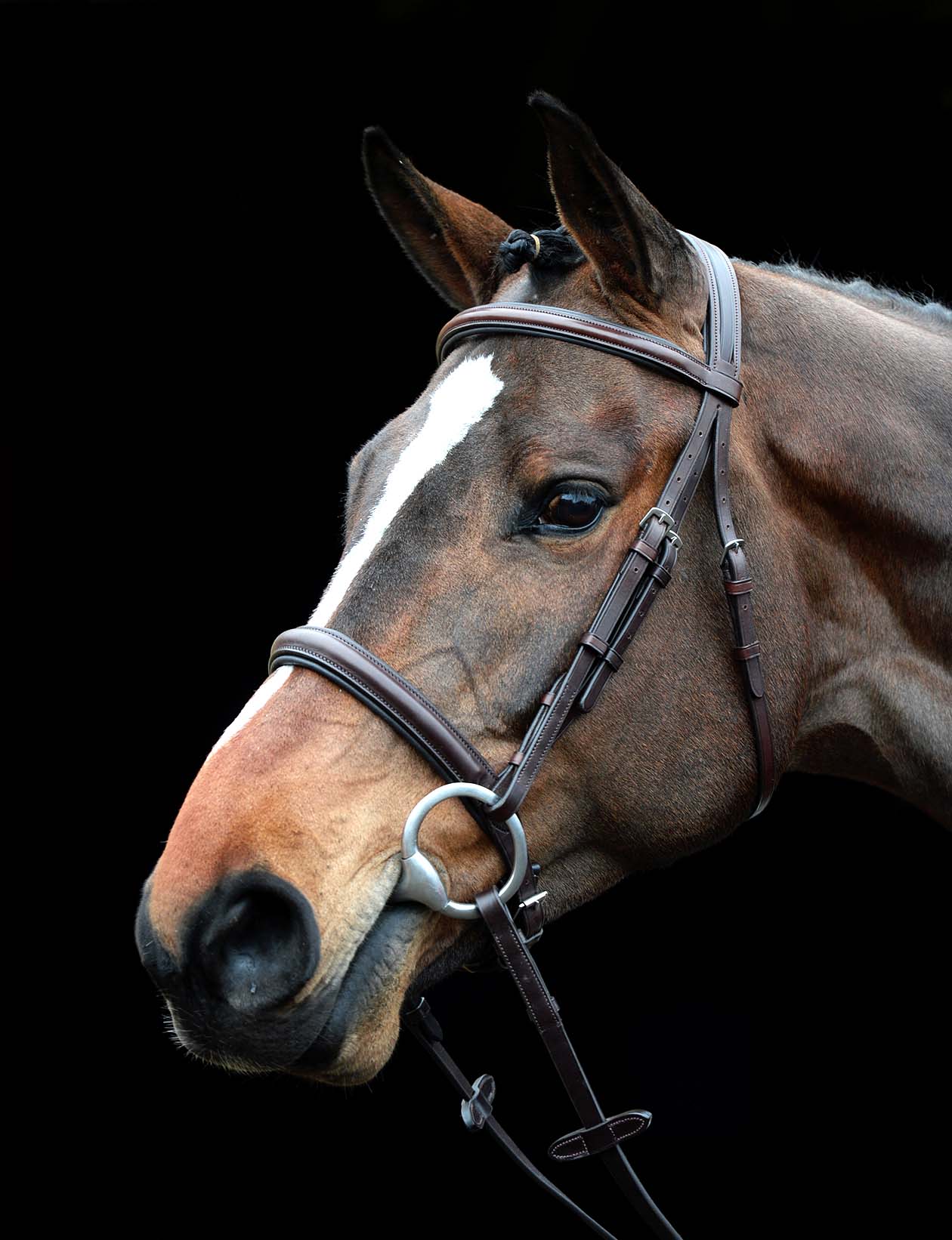 Collegiate - Briglia Cavesson imbottita in pelle (Cavallino) (Nero