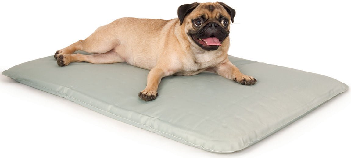 Cool Bed III - Jeffers - Dog Supplies > Dog Beds