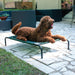 Coolaroo Pet Bed - Jeffers - Dog Supplies > Dog Beds