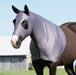 Coolcore Cooling Lycra Hood - Jeffers - Horse Supplies > Horse Blankets & Sheets