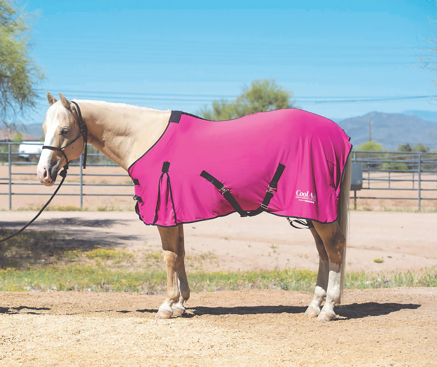 Coolcore Equine Cooling Blanket, Pink/ Tan/ Turquoise — Jeffers