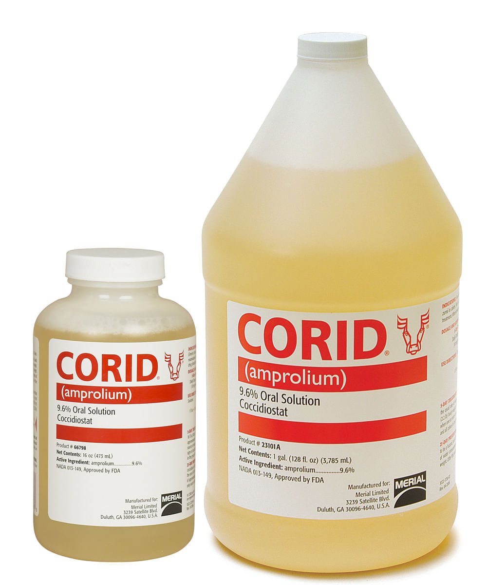 Corid Solution (Amprolium 9.6%) for Calves — Jeffers